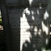 Dolores Cunningham Photo 14