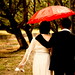 Yuen Cheng Photo 10