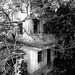 Yuen Tung Photo 7