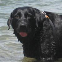 Shawn Reardon Photo 13