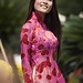 Ty Ho Photo 9