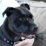 Donna Price Photo 23