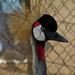 Heather Crane Photo 19
