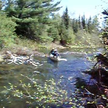 Amy Larson Photo 34