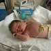 Jason Westley Photo 4