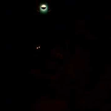 Geraldine Murillo Photo 14