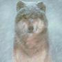 Susan Pugh Photo 54