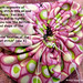 Heather Sanford Photo 19