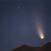 Scott Hale Photo 13