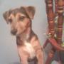 Michelle Rowell Photo 14
