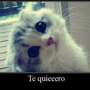 Dayana Contreras Photo 12