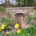 Andrew Mills Photo 12