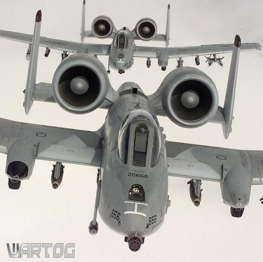 Edward Jorgensen Photo 15