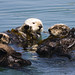 Anne Baird Photo 38
