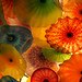 Julia Glas Photo 9