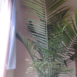Elizabeth Kish Photo 27