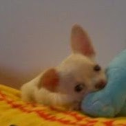 Takahito Tanaka Photo 2