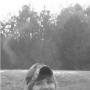 Jacob Hooper Photo 38