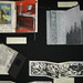 Patricia Mcclure Photo 12