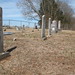 Samuel Tribble Photo 8