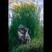 Coy Summers Photo 7