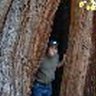 Steve Compton Photo 11