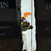 Beth Lowe Photo 29