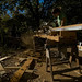 Jennifer Rafter Photo 11