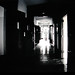 Jonathan Weiss Photo 30