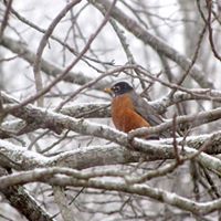 Dawn Andrews Photo 23
