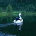 Lynda Swan Photo 20