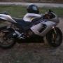 Josh Crow Photo 24