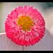 Mark Bunch Photo 29