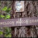 Weldon Good Photo 5