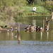 Eric Singleton Photo 20