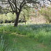 Margaret Hall Photo 12