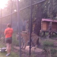 Traci Robbins Photo 23