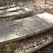 Forrest Farrar Photo 3