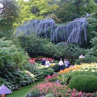 Deborah Kline Photo 20