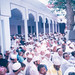 Mohammad Raza Photo 16