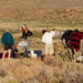 Karen Thacker Photo 12