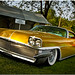 Gene Golden Photo 13