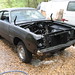 Tracy Dodge Photo 3