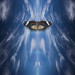 John Lorenz Photo 33