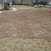 Jeanette Howell Photo 11