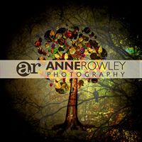 Anne Rowley Photo 25
