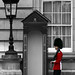 Diana Busby Photo 13