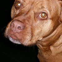 Rebecca Tackett Photo 5