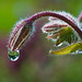 Heather Simonds Photo 17