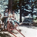 Connie Darin Photo 3